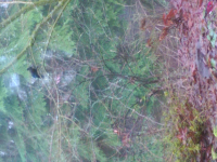 wp_20151228_006.jpg